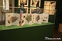 VBS_1200 - Castello di Miradolo - Mostra Oltre il giardino l'Abbecedario di paolo Pejrone